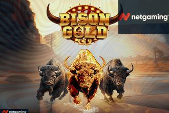 Bison Gold